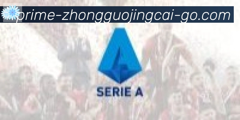 中国竞彩网合作伙伴